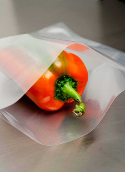 poivron sac sous vide de conservation